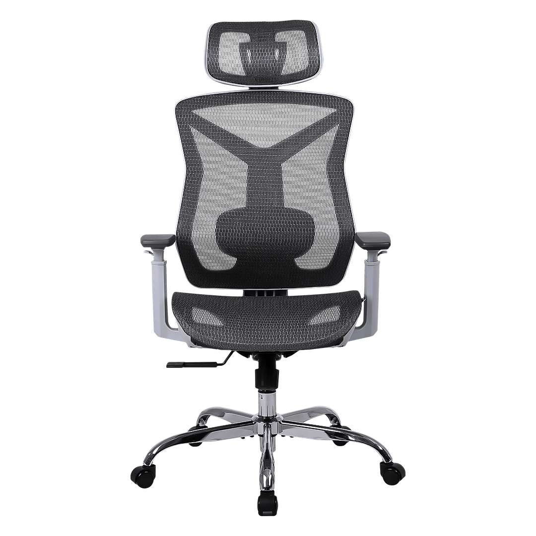 CADEIRA ERGONÔMICA DAISHU SILVER